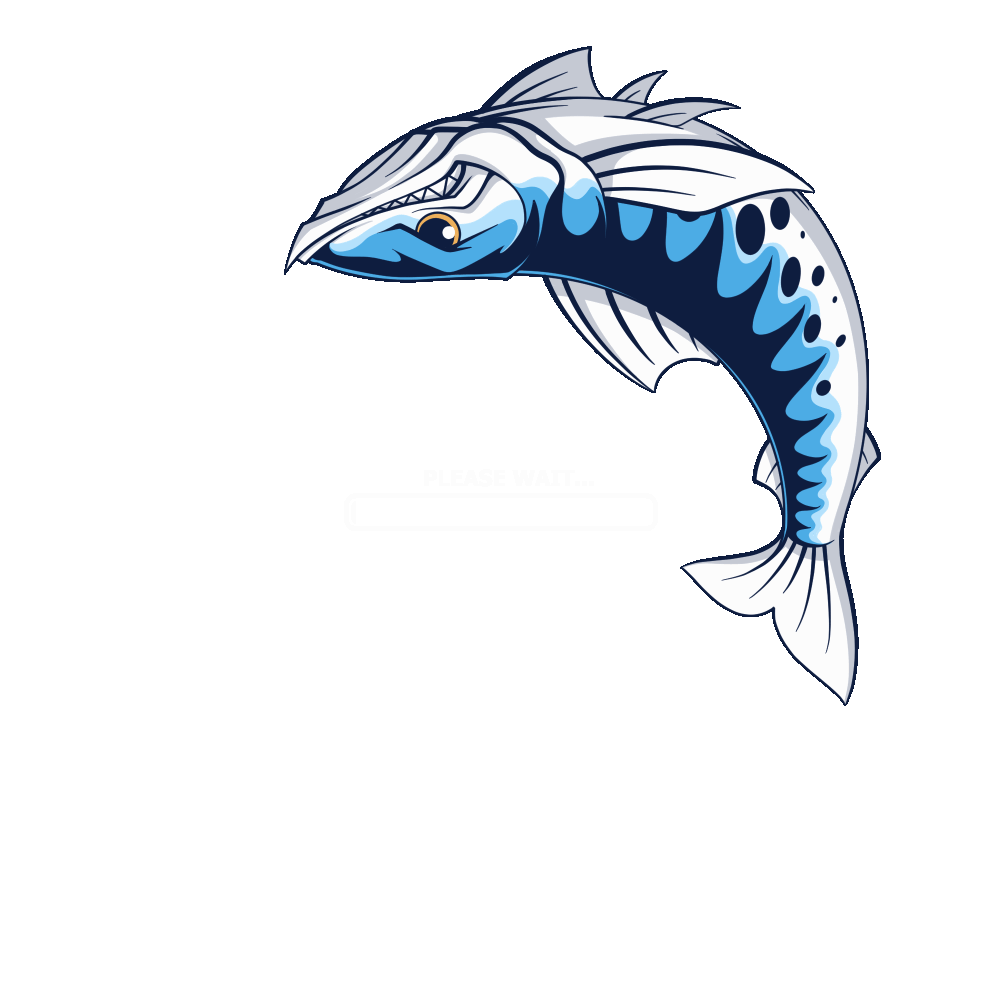 Barracuda website loading